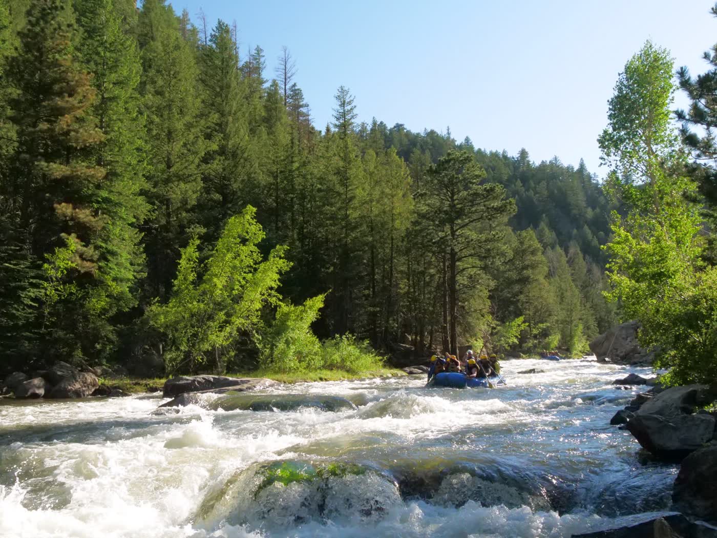 Advanced Clear Creek rafting